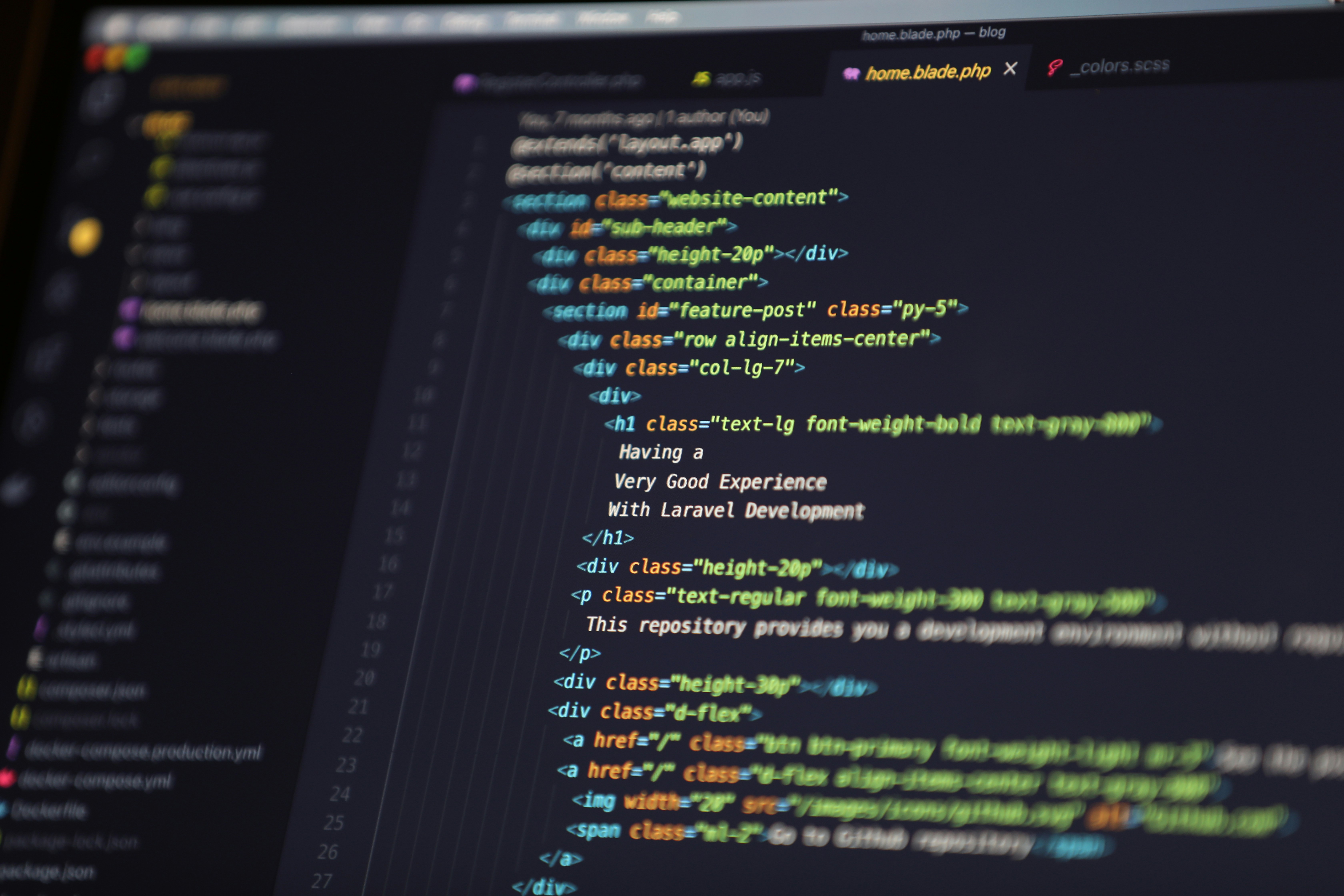 Software and Website Development